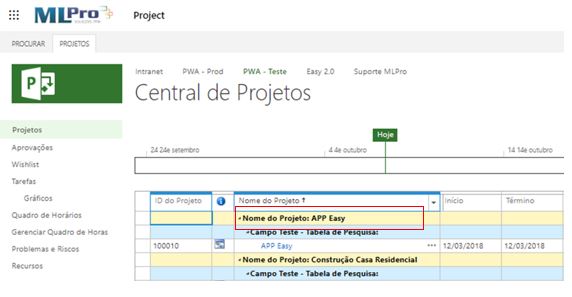 project-online-check-out (2)