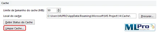 Limpeza-do-Cache-no-Project-Professional-2010 3