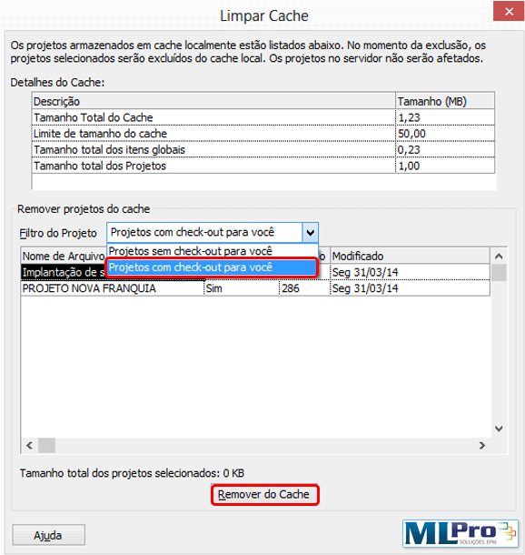 Limpeza do Cache no Project Professional 2010 BlogMLPro