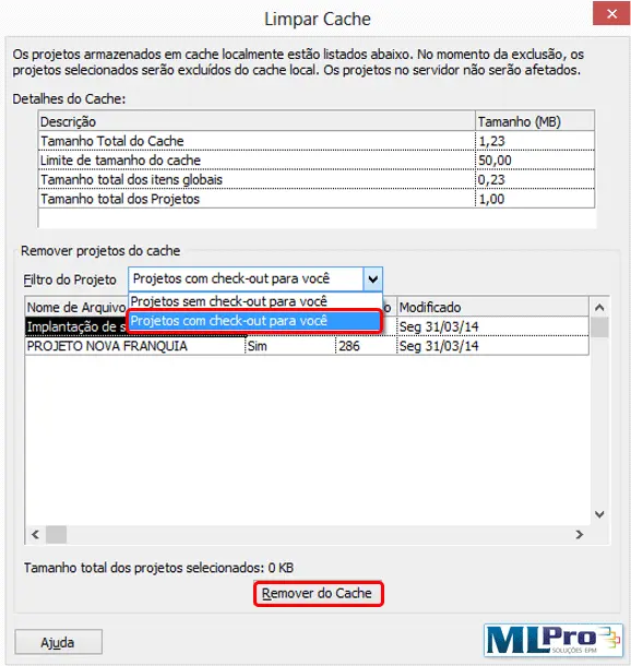 Limpeza-do-Cache-no-Project-Professional-2010 4