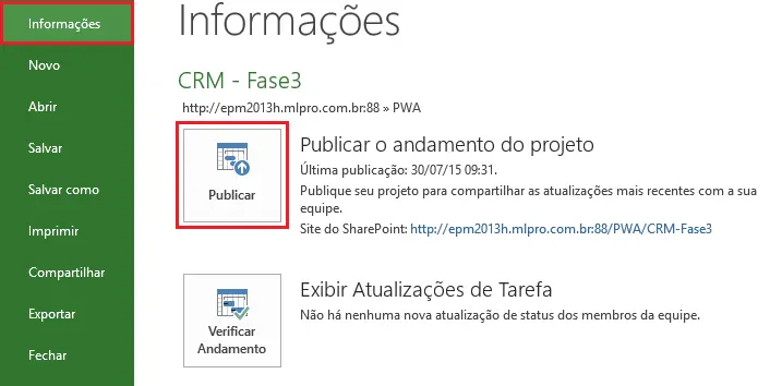 Project-Professional-2013-Salvar-e-Publicar 3