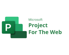 Microsoft Partner Gold - Project and Portfólio Management